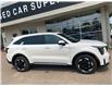 2025 Kia Sorento Plug-In Hybrid EX (Stk: 25170) in Petawawa - Image 3 of 34