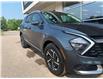 2025 Kia Sportage Hybrid EX (Stk: 25169) in Petawawa - Image 2 of 32