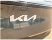 2025 Kia Sportage Hybrid EX (Stk: 25169) in Petawawa - Image 12 of 32