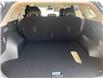 2025 Kia Sportage Hybrid EX (Stk: 25169) in Petawawa - Image 17 of 32