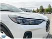 2024 Ford Escape Platinum (Stk: B85246) in Okotoks - Image 8 of 25