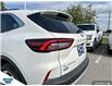 2024 Ford Escape Platinum (Stk: B85246) in Okotoks - Image 10 of 25
