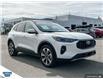 2024 Ford Escape Platinum (Stk: B85246) in Okotoks - Image 25 of 25