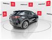 2023 Lexus NX 350 Base (Stk: 11U3959) in Markham - Image 11 of 36