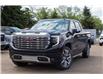 2024 GMC Sierra 1500 Denali (Stk: 51471A) in Edmonton - Image 2 of 12