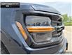 2025 Ford F-150 XLT (Stk: 5F168131) in Brantford - Image 7 of 23