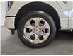 2022 Ford F-150 Platinum (Stk: 16746-1) in Wyoming - Image 9 of 15