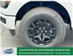 2025 Ford F-150 XLT (Stk: FS79962) in Windsor - Image 2 of 27