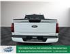 2025 Ford F-150 XLT (Stk: FS79962) in Windsor - Image 6 of 27