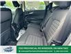 2024 Ford Edge  (Stk: TR17406) in Windsor - Image 12 of 25