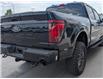 2025 Ford F-150 Tremor (Stk: 25206) in High River - Image 16 of 17
