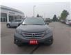 2014 Honda CR-V EX-L (Stk: 250494A) in Whitchurch-Stouffville - Image 3 of 22