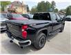 2024 Chevrolet Silverado 2500HD LT (Stk: R1173063) in Paisley - Image 4 of 22