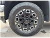 2024 Chevrolet Silverado 2500HD LT (Stk: R1173063) in Paisley - Image 10 of 22