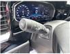2024 Chevrolet Silverado 2500HD LT (Stk: R1173063) in Paisley - Image 20 of 22