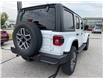 2025 Jeep Wrangler Sahara (Stk: 25-300) in Sarnia - Image 4 of 18