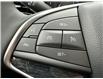 2025 Cadillac XT5 Premium Luxury (Stk: Z144491) in Newmarket - Image 14 of 21