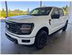 2025 Ford F-150 XLT (Stk: 25123) in Port Alberni - Image 8 of 25