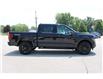 2025 Ford F-150 XLT (Stk: LT2522) in Harrow - Image 4 of 19