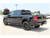 2025 Ford F-150 XLT (Stk: LT2522) in Harrow - Image 7 of 19