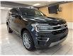 2023 Ford Expedition Limited (Stk: BA58804) in Shellbrook - Image 7 of 24