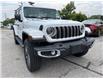 2025 Jeep Wrangler Sahara (Stk: 25-300) in Sarnia - Image 6 of 18