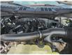 2025 Ford F-150 XLT (Stk: F1223) in Miramichi - Image 13 of 13