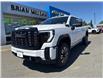 2025 GMC Sierra 3500HD Denali Ultimate (Stk: M1169-25) in Courtenay - Image 1 of 22