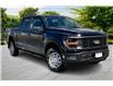 2025 Ford F-150 XL (Stk: 25F10929) in Vancouver - Image 1 of 14