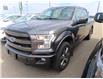 2017 Ford F-150  (Stk: 300993) in Lethbridge - Image 3 of 10