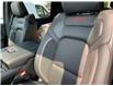 2025 RAM 1500 Rebel (Stk: VS088) in Elmira - Image 20 of 24