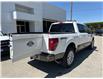 2025 Ford F-150 King Ranch (Stk: 25T855) in CRESTON - Image 8 of 30