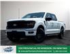 2025 Ford F-150 XLT (Stk: FS87590) in Windsor - Image 1 of 23