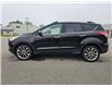 2015 Ford Escape SE (Stk: 501498) in Sarnia - Image 4 of 40