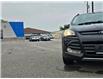 2015 Ford Escape SE (Stk: 501498) in Sarnia - Image 9 of 40