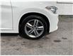 2018 BMW X1 xDrive28i (Stk: 250641) in Ottawa - Image 21 of 22