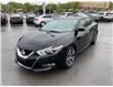 2017 Nissan Maxima  (Stk: 250275A) in Ottawa - Image 3 of 18