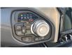 2025 RAM 1500 Tungsten (Stk: TS105) in Kamloops - Image 15 of 29