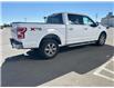 2020 Ford F-150 XLT (Stk: C25126B) in High River - Image 5 of 8