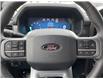 2025 Ford F-150 Lariat (Stk: VF1F00880) in Chatham - Image 14 of 21