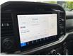 2025 Ford F-150 Lariat (Stk: VF1F00880) in Chatham - Image 17 of 21