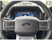 2025 Ford F-150 XLT (Stk: VF1F00922) in Chatham - Image 14 of 22