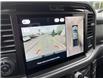 2025 Ford F-150 XLT (Stk: VF1F00922) in Chatham - Image 20 of 22