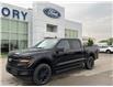 2025 Ford F-150 XLT (Stk: VF1F00922) in Chatham - Image 22 of 22