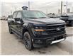 2025 Ford F-150 XLT (Stk: VF1F00902) in Chatham - Image 5 of 20