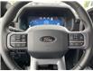 2025 Ford F-150 XLT (Stk: VF1F00902) in Chatham - Image 14 of 20