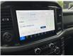 2025 Ford F-150 XLT (Stk: VF1F00902) in Chatham - Image 17 of 20
