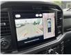 2025 Ford F-150 XLT (Stk: VF1F00902) in Chatham - Image 19 of 20