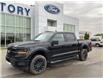 2025 Ford F-150 XLT (Stk: VF1F00902) in Chatham - Image 20 of 20