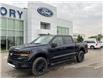 2025 Ford F-150 XLT (Stk: VF1F00899) in Chatham - Image 1 of 20